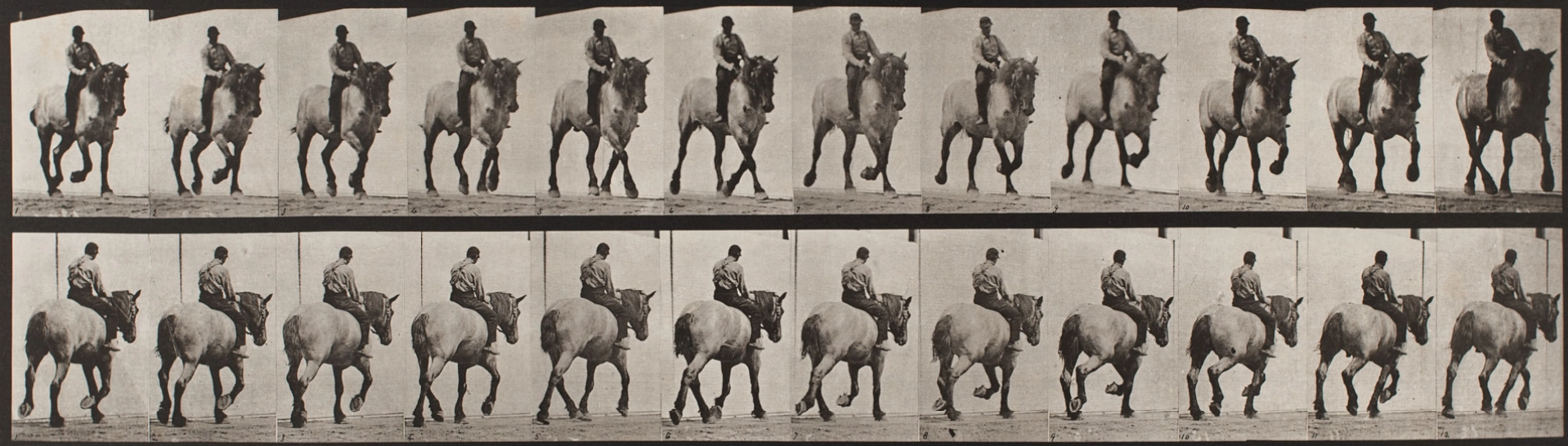 Sport a tělo v pohybu jako objekt fotografa od historie po současnost