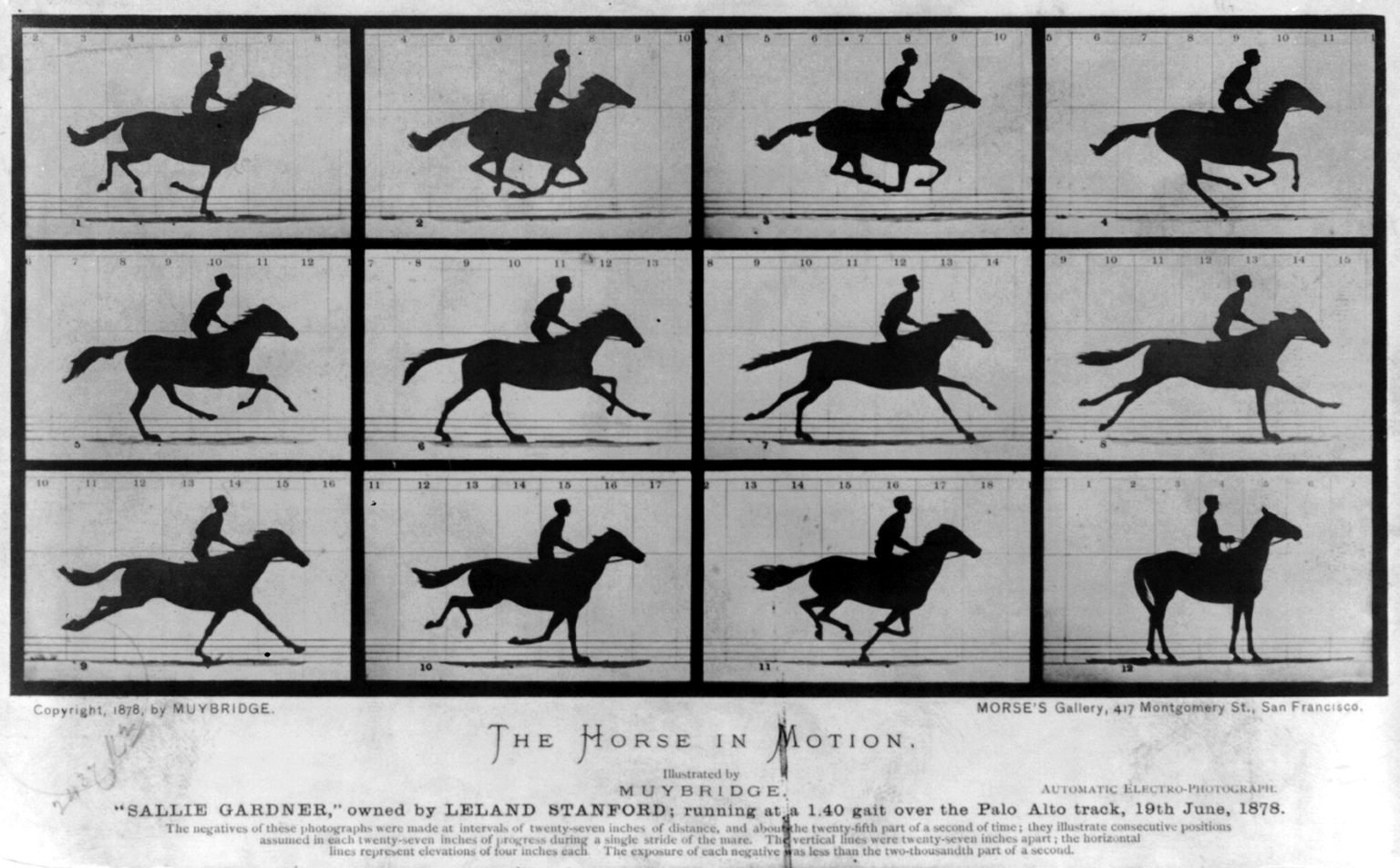 Eadward Muybridge: The horse in motion, zdroj: Wikimedia